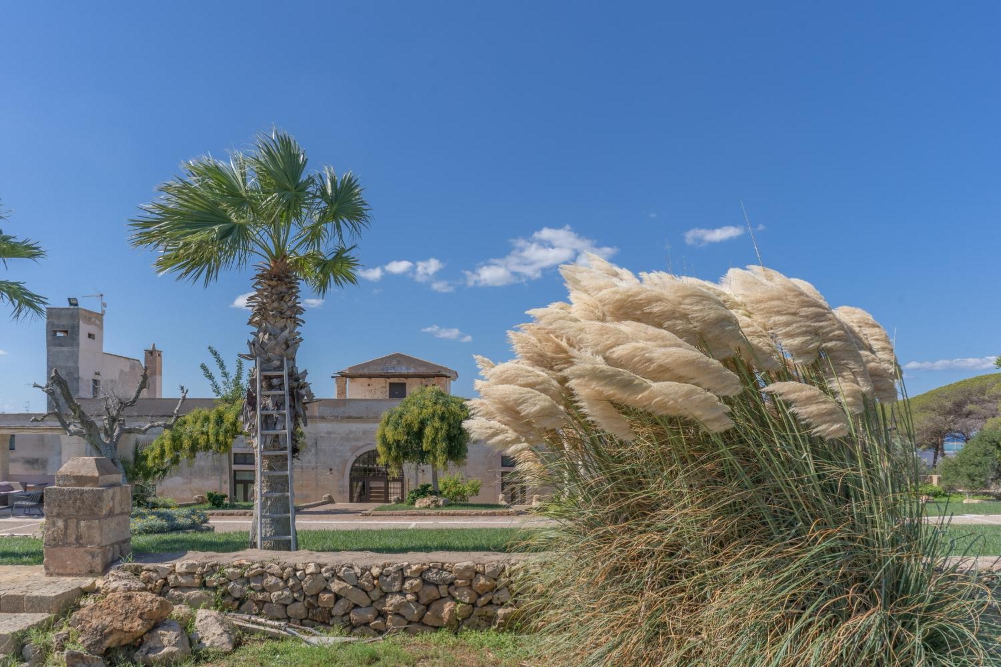 פורטו צ'זראו Masseria Casina Bellanova מראה חיצוני תמונה